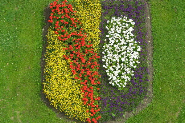 Im Gras sind Blumen in Form des Denzlinger Wappens gepflanzt. Für eine detailreiche Bildbeschreibung wählen Sie die Reisekarte “Barrierefreiheit” und suchen Sie nach der Überschrift “Blumiges Denzlinger Wappen”.