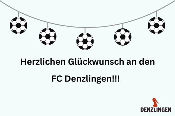 Fußball Wimpel, schwarze Schrift auf hellem Untergrund, Logo der Gemeinde Denzlingen, roter Storch, schwarze Schrift