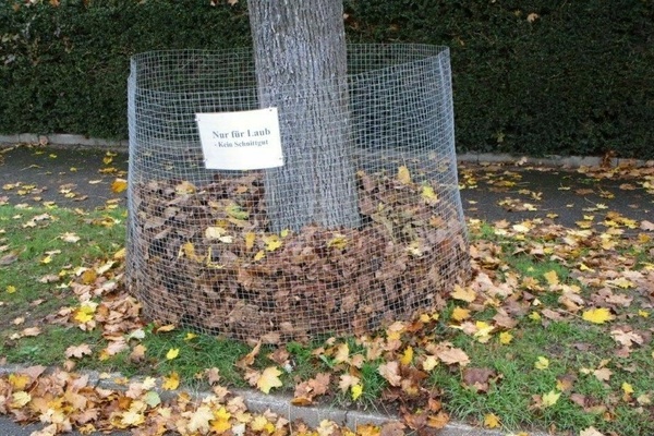 Laubkorb - Drahtkitter um einen Baumstamm mit Schild - schwarze Schritf auf weißem Untergrund