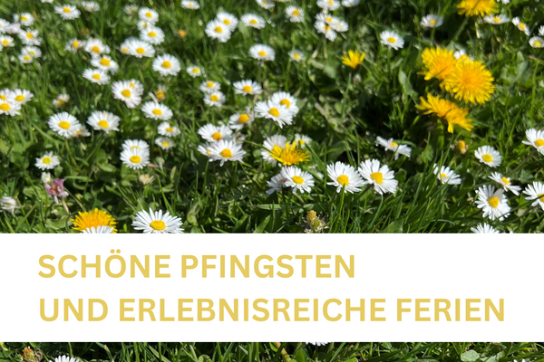 Wiese mit G&auml;nsebl&uuml;mchen und L&ouml;wenzahln, wei&szlig;er Balken, darauf gelbe Schrift: Sch&ouml;ne Pfingsten und erlebnisreiche Ferien